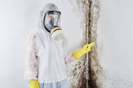 Best Biohazard Mold Removal  in Gooding, ID